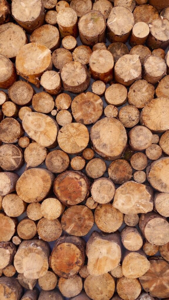 Revestimiento de madera decorativo para quincho cerrado